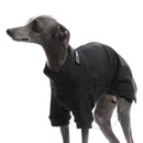 SCHWARZES „DG OUTDOOR UNDERWEAR WINTER“ T-SHIRT FÜR PLI, WHIPPET UND GREYHOUND-3