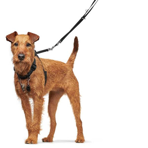 PETTORINA ADDESTRAMENTO CANI "HUNTER SIDE BY SIDE" NERA