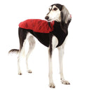xxxROTES CHECHERED „SOFA CHICO“ SOFTSHELL-T-SHIRT FÜR WHIPPET-2