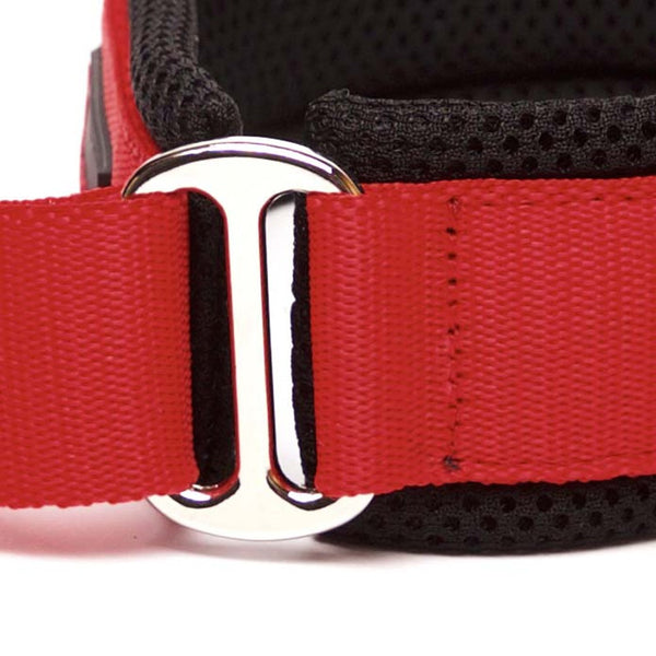 RED "SOFA TEXTILE" PADDED COLLAR