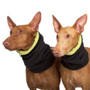 HALSWÄRMER IN SCHWARZ UND GRÜN "SOFA GIOTTO" SOFT SHELL FÜR WHIPPET, LEVR -3