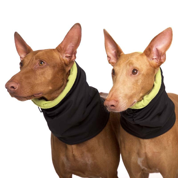 HALSWÄRMER IN SCHWARZ UND GRÜN "SOFA GIOTTO" SOFT SHELL FÜR WHIPPET, LEVR 