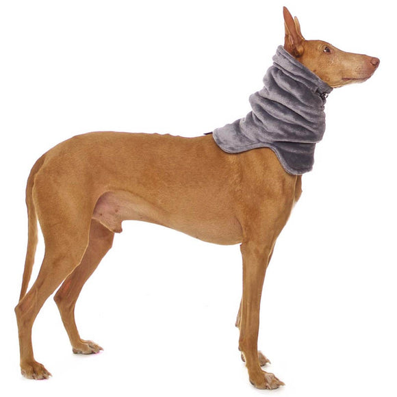 "SOFA RAFAEL" GRAY FLEECE NECK WARMER FOR PLI, WHIPPET, GALGO, GREYHOUND 
