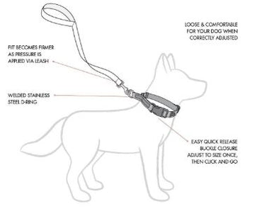 Collare AG232A Collare in nylon per cani con LED luminoso, misura 34/ 42cm,  - OFBA srl