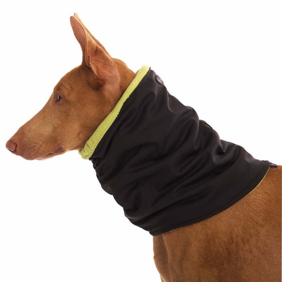 HALSWÄRMER IN SCHWARZ UND GRÜN "SOFA GIOTTO" SOFT SHELL FÜR WHIPPET, LEVR 