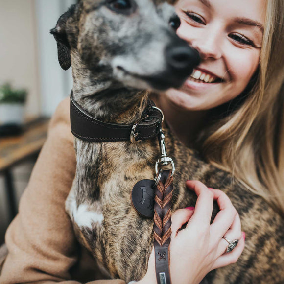 DUNKELBRAUNES "HUNTER COLLAR SUPER SOFT" LEDERHALSBAND FÜR PLI, WHIPPET, GALGO UND WINDHUND 