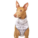 FLEECE T-SHIRT "SOFA HACHICO JUMPER 03" GRAU FÜR PLI, WHIPPET UND WINDHUND-5