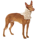 BEIGE "SOFA RAFAEL" FLEECE HALSWÄRMER FÜR PLI, WHIPPET, GALGO, GREYHOUND -1