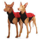 xxxROTES CHECHERED „SOFA CHICO“ SOFTSHELL-T-SHIRT FÜR WHIPPET-3