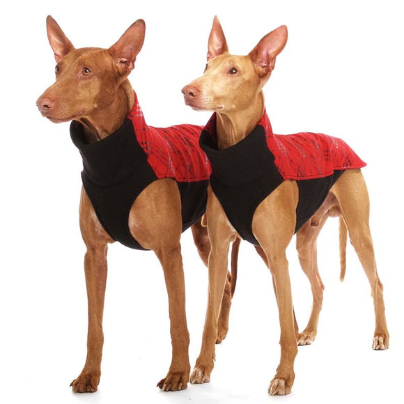 xxxROTES CHECHERED „SOFA CHICO“ SOFTSHELL-T-SHIRT FÜR WHIPPET