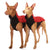 MAGLIETTA IN SOFT SHELL "SOFA CHICO" RED CHECHERED PER WHIPPET