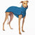 FLEECE T-SHIRT "SOFA KEVIN JUMPER 02" NEW TURQOISE FOR SMALL ITALIAN GREYHOUND, WHIPPET, GALGO AND GREYGOUND