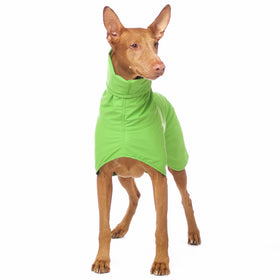 GREEN "SOFA DOG WEAR MICHAEL EXTRARAIN 02" RAINCOAT FOR WHIPPET, GALGO, SIGHThound 