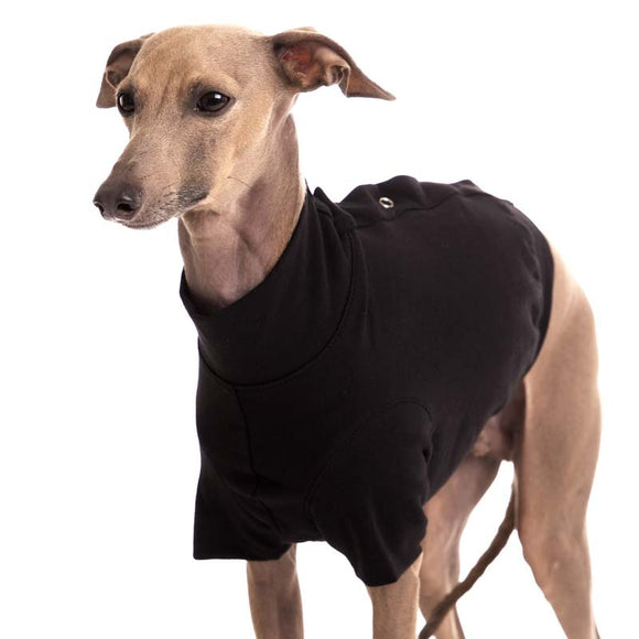 „SOFA OLIVER“ T-SHIRT AUS SCHWARZER BAUMWOLLE FÜR PLI, WHIPPET, WINDHUND