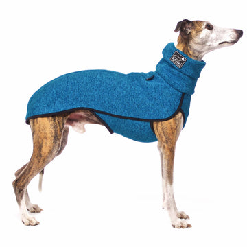 FLEECE T-SHIRT "SOFA KEVIN JUMPER 02" NEW TURQOISE FOR SMALL ITALIAN GREYHOUND, WHIPPET, GALGO AND GREYGOUND