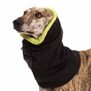 HALSWÄRMER IN SCHWARZ UND GRÜN "SOFA GIOTTO" SOFT SHELL FÜR WHIPPET, LEVR -5