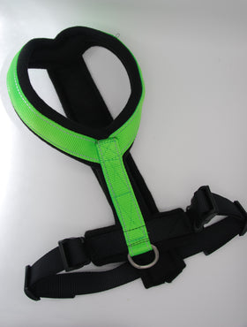 PADDED BIB FOR WHIPPET NEON GREEN AND BLACK ANTI-FUGA