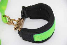 NYLON LEASH AND GREEN QUICK RELEASE COLLAR