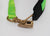 Nylonleine und grünes Halsband mit Schnellverschluss
