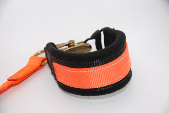 NYLON LEASH AND ORANGE QUICK RELEASE COLLAR
