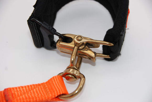 NYLON LEASH AND ORANGE QUICK RELEASE COLLAR