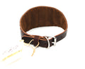 PADDED COLLAR IN VEGETABLE-TANNED TUSCANY BROWN LEATHER FOR PLI, WHIPPET AND GREYHOUNDS