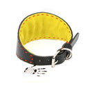 PADDED COLLAR IN BLACK/ACID GREEN VEGETABLE-TANNED TUSCANY LEATHER WITH ORANGE STITCHING FOR PLI, WHIPPET AND GREYHOUNDS-1