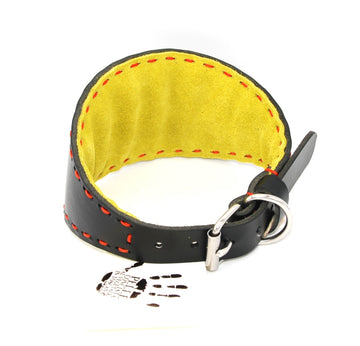 GEPOLSTERTES HALSBAND AUS PFLANZLICH GEGERBTE TOSKANA-LEDER IN SCHWARZ/SÄUREGRÜN MIT ORANGEN NÄHTEN FÜR PLI, WHIPPET UND WINDHUNDE