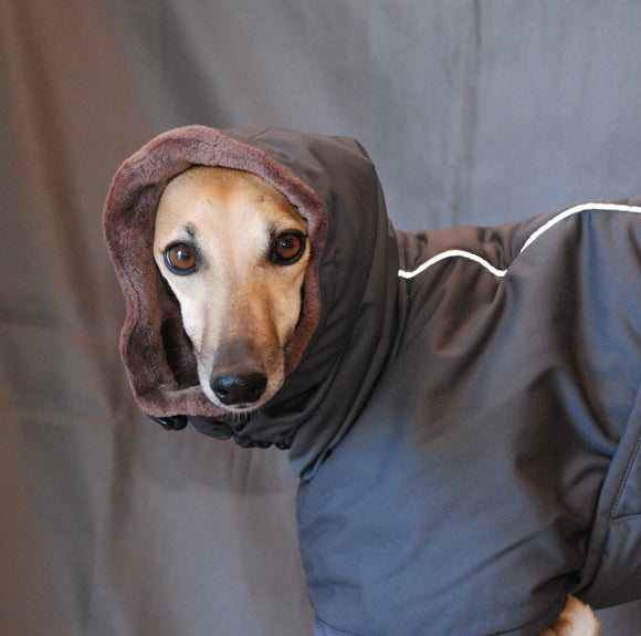 WINTERMANTEL „SOFA STING ELITE“ FÜR WHIPPET, GALGO UND GREYHOUND DUNKELGRAU