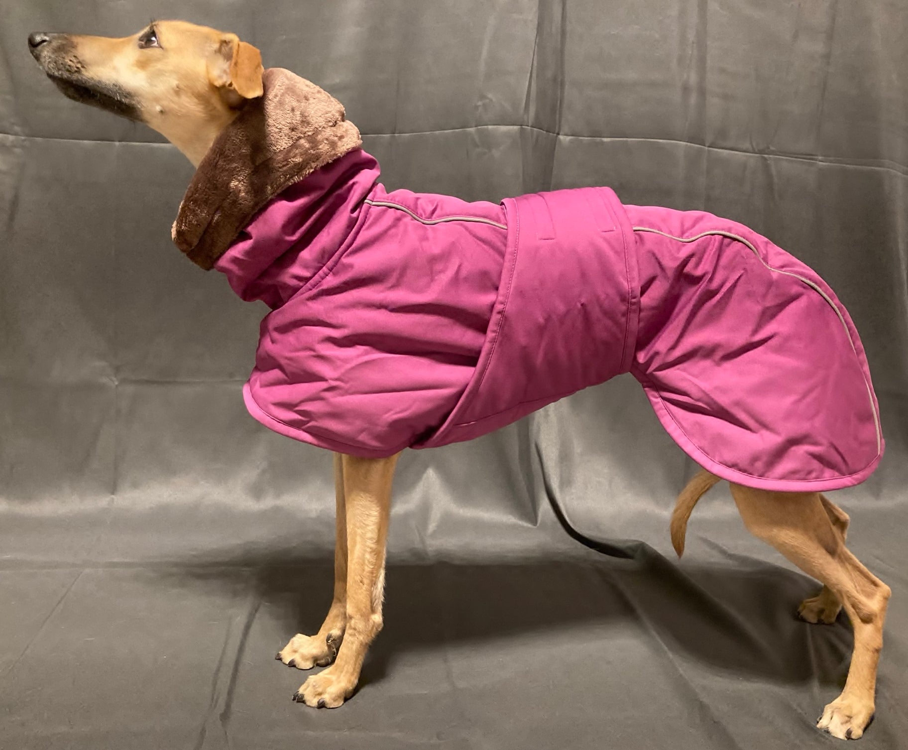 Jackets Sofa Dog Gear LILAC