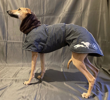 xxx WINTERMANTEL "ELVIS SOFA" FÜR WHIPPET ANTHRAZIT