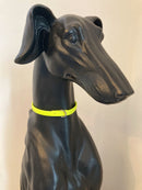 BIOTHANE FLUO GELB BIOTHANE MEDAILLENHALTER FÜR WINDHUND-1