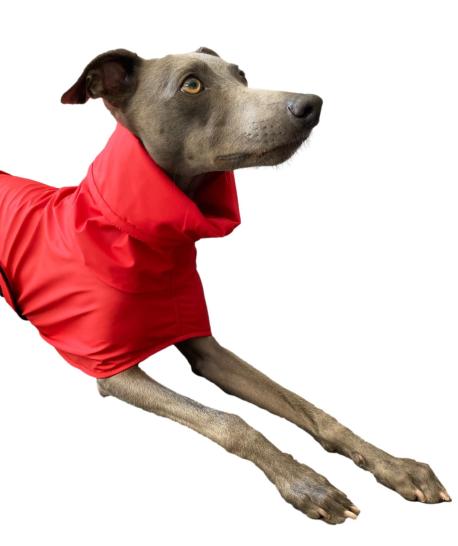 Cappotti Impermeabili Per Cani Che Mantengono Asciutto Il Tuo Amico