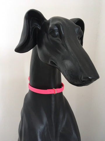MEDAL HOLDER FOR SIGHThound IN PINK BIOTHANE