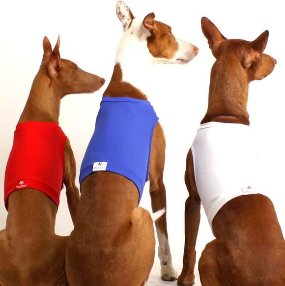 T-SHIRTS/GUALDRAPPE COURSING "SOFA STRETCH" FOR PLI, WHIPPET, GREYHOUND