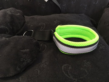 HALSBAND „SPECIAL EDITION SUPER SOFT“ IN FLUO GRÜN