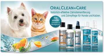 SPRAY PER DENTI PLATINUM FORTE 65 ML