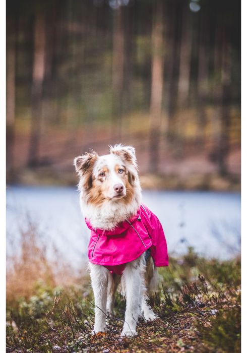 RUKKA REGENMANTEL FÜR HUNDE "HASE REGENJACKE" ROSA