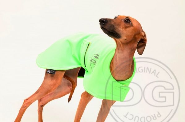 "DG RACING WARM UP SAFETY" CAPE FOR WHIPPET