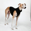 BLACK "DG UNDERWEAR EXTRA WARM" T-SHIRT FOR PLI, WHIPPET, GREYHOUND-1