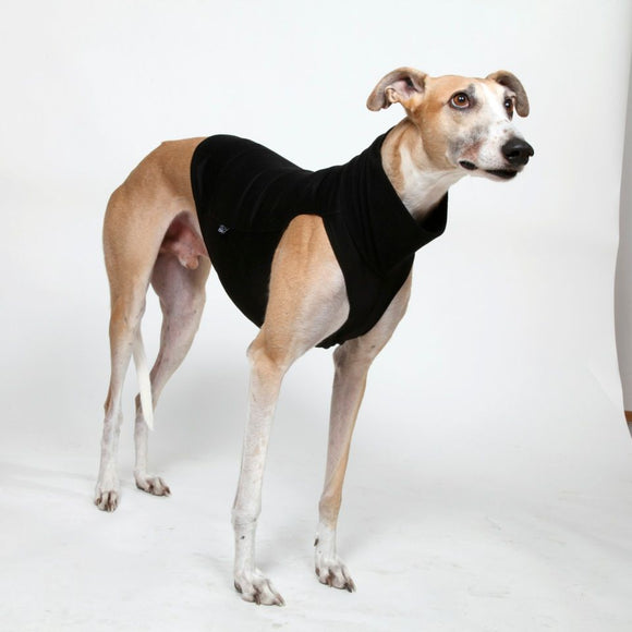 BLACK "DG UNDERWEAR EXTRA WARM" T-SHIRT FOR PLI, WHIPPET, GREYHOUND