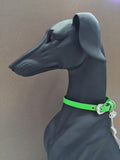 GREEN ECO-LEATHER MEDAL HOLDER FOR WHIPPET AND GREYHOUND