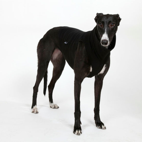 BLACK "DG UNDERWEAR EXTRA WARM" T-SHIRT FOR PLI, WHIPPET, GREYHOUND