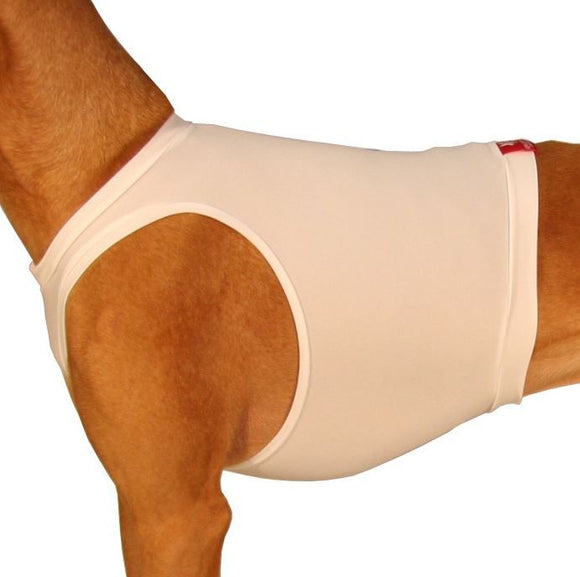 T-SHIRTS/GUALDRAPPE COURSING "SOFA STRETCH" FOR PLI, WHIPPET, GREYHOUND