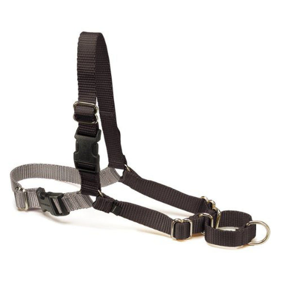 EASYWALK TRAININGSGURT TG. L