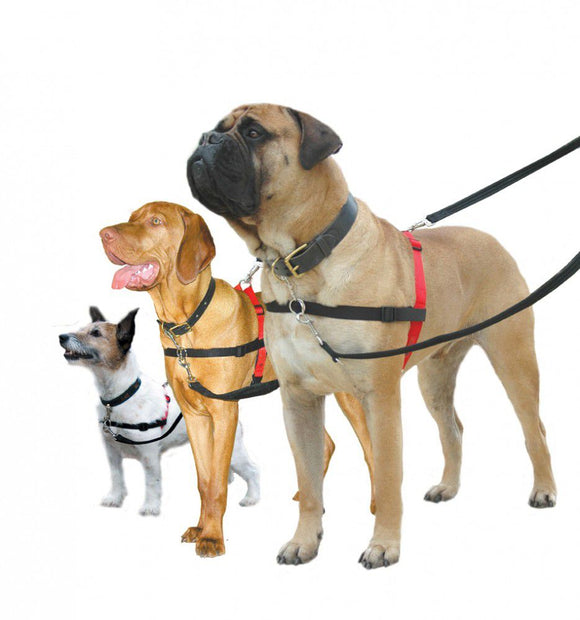 HALTI TRAINING HARNESS SMALL
