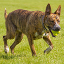 HYPER DURA CHEW BUMPY BALL GREEN-2