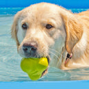 HYPER DURA CHEW BUMPY BALL GREEN-3