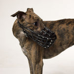 MUSERUOLA WHIPPET IN PVC
