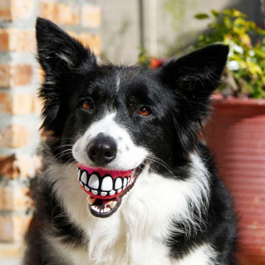 GRINZ PALLINA ROGZ COLORI ASSORTITI